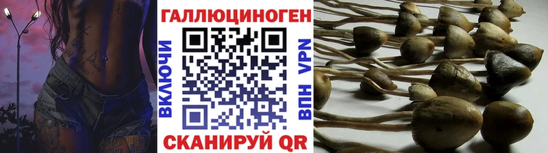 Псилоцибиновые грибы ЛСД  хочу   Северобайкальск 