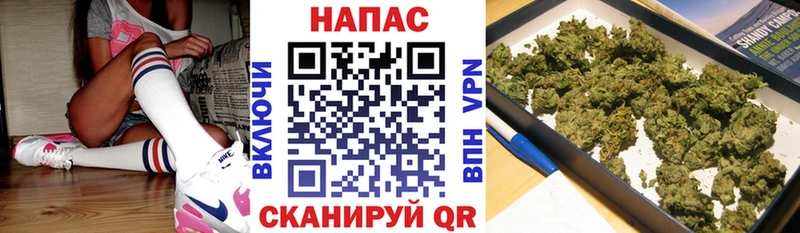 Шишки марихуана LSD WEED  omg маркетплейс  Северобайкальск 